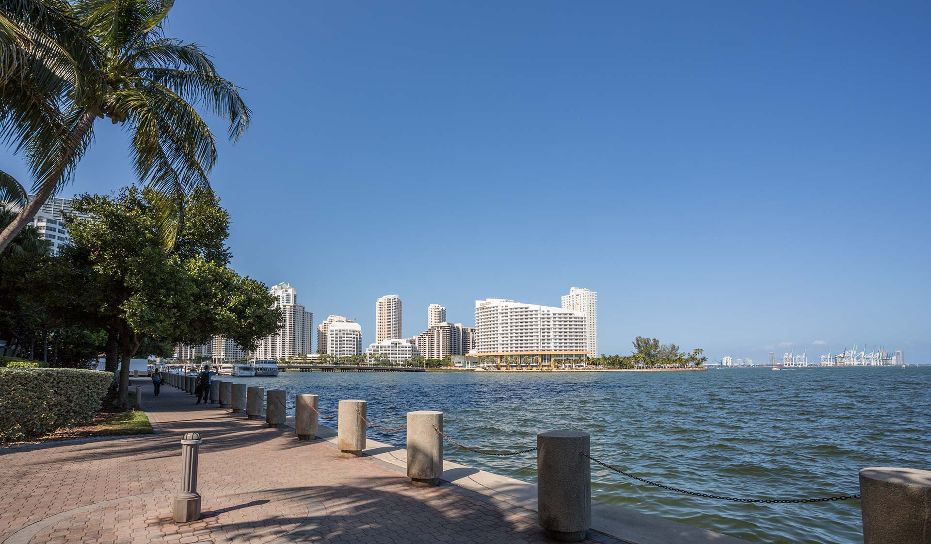 yacht club brickell market